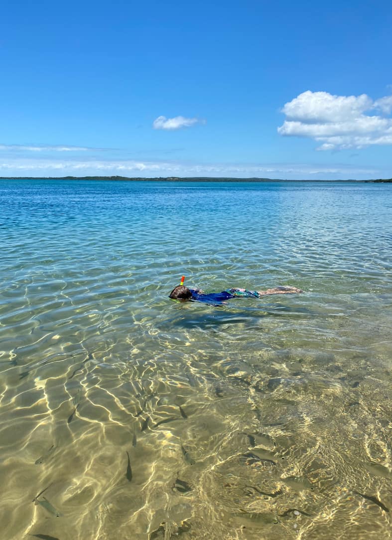 Snorkelling at the beach